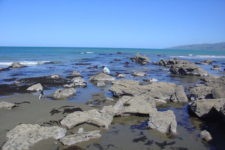 Photo of property in 1 Nunu Drive, Flat Point, Masterton, 5883