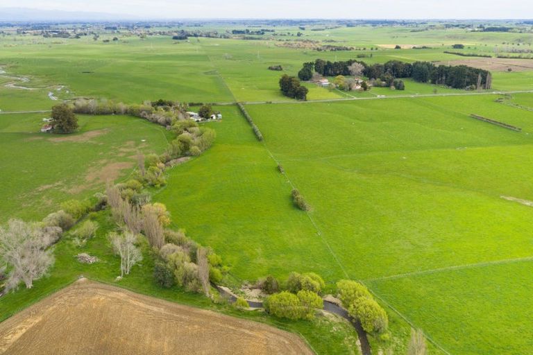 Photo of property in 260 Haynes Line, Beaconsfield, Feilding, 4777