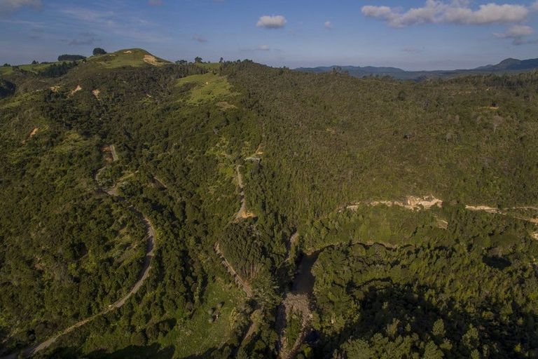 Photo of property in 595 Rangihau Road, Coroglen, Whitianga, 3591