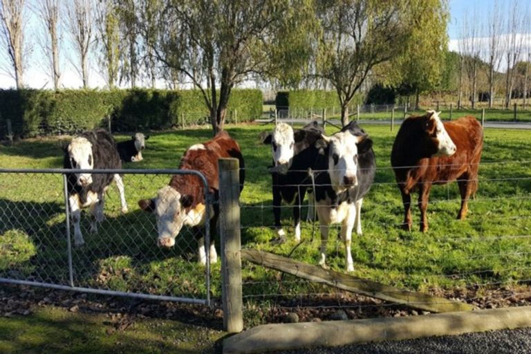 Photo of property in 533 Lower Sefton Road, Sefton, Rangiora, 7477