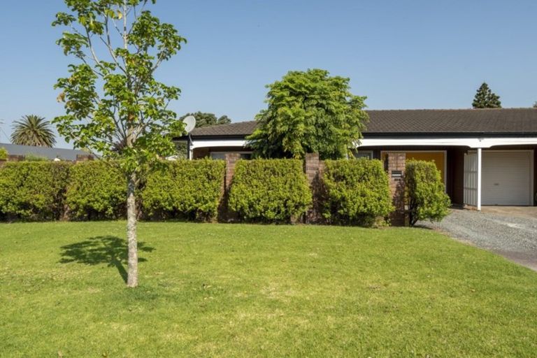 Photo of property in 16a Burrows Street, Tauranga South, Tauranga, 3112