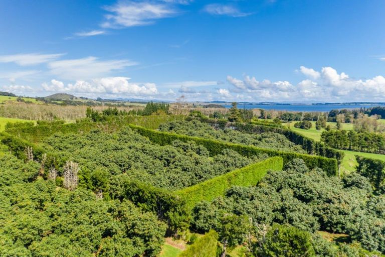 Photo of property in 168 Hariru Road, Ohaeawai, Kaikohe, 0472