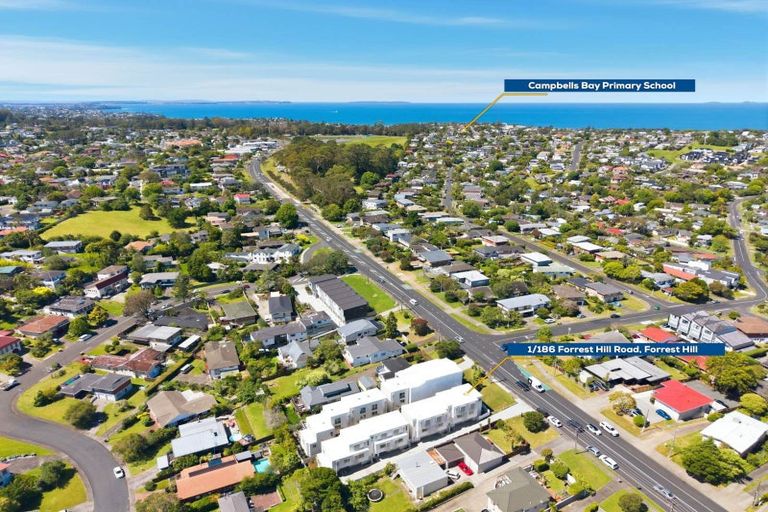 Photo of property in 1/186 Forrest Hill Road, Forrest Hill, Auckland, 0620