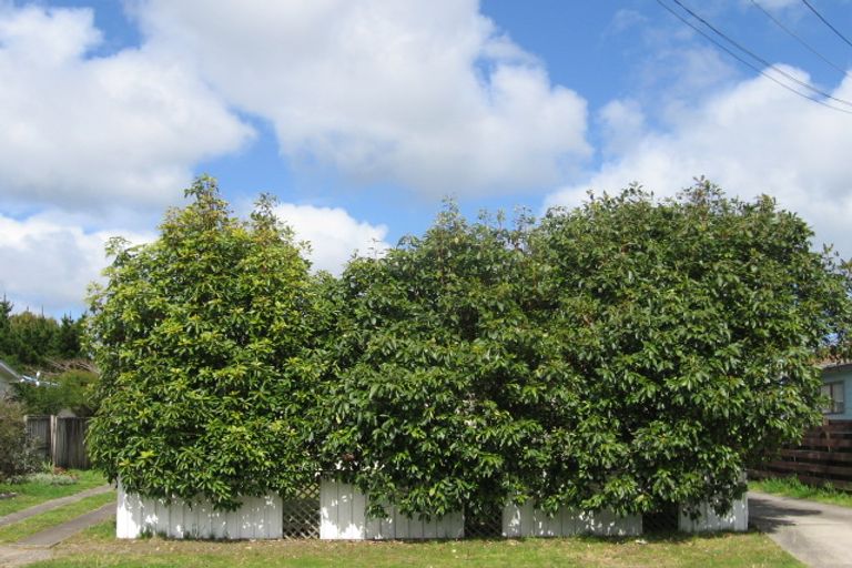 Photo of property in 300a Dickson Road, Papamoa Beach, Papamoa, 3118