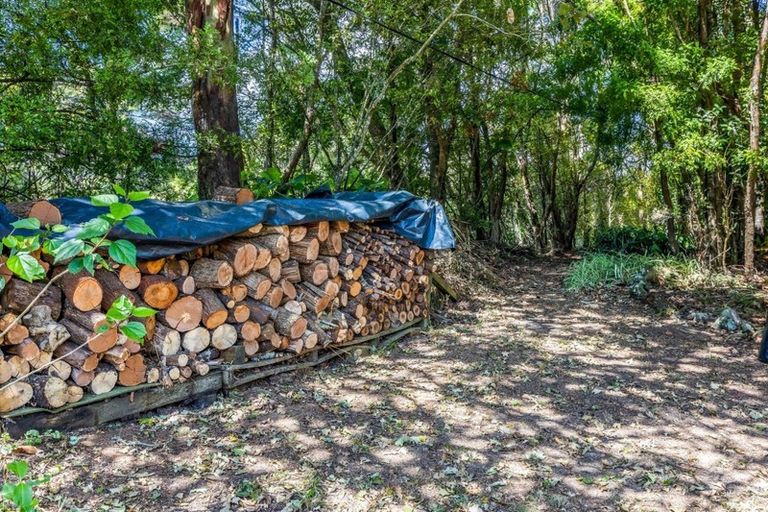 Photo of property in 3 William Pitcher Place, Greenhithe, Auckland, 0632