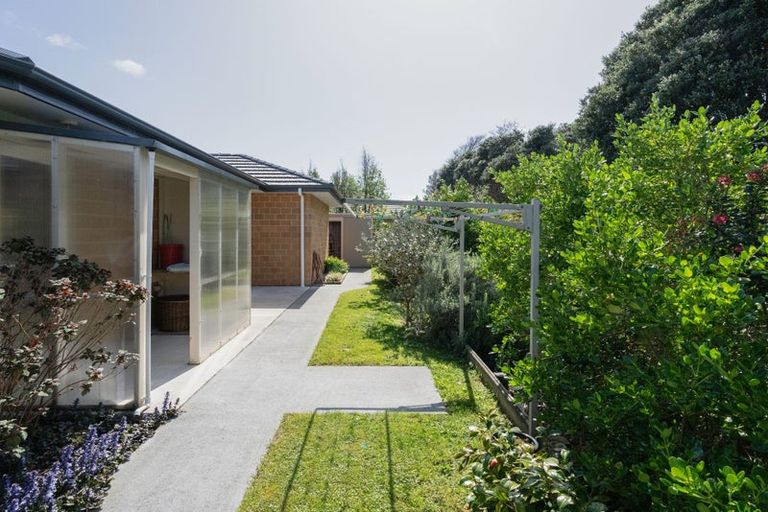 Photo of property in 28 Barry Curtis Place, Levin, 5510