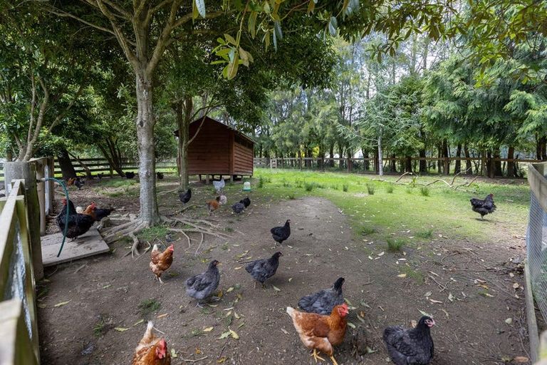 Photo of property in 390 Scotts Road, Linton, Palmerston North, 4472