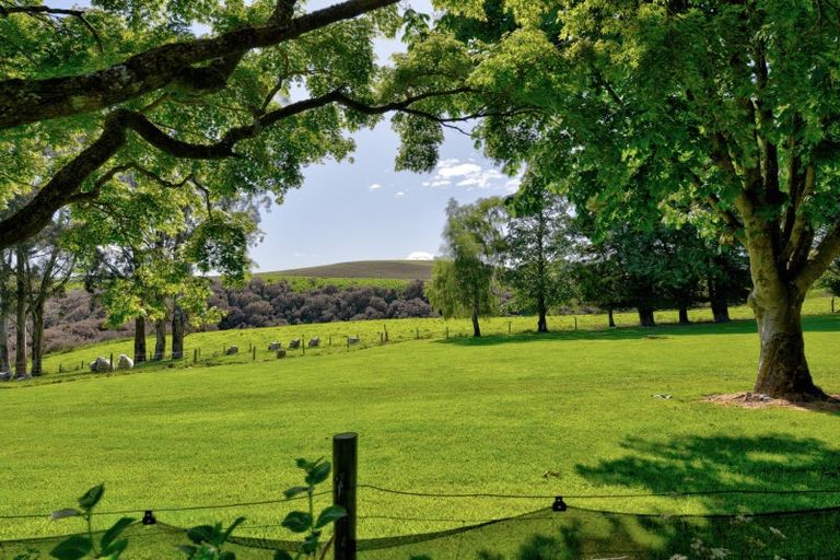 Photo of property in 129 Mataura Island Fortrose Road, Mataura Island, Wyndham, 9891