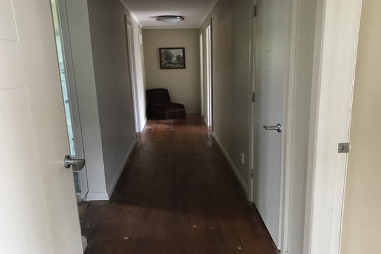 Photo of property in 17 Boswell Street, Kawakawa, 0210