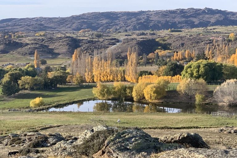 Photo of property in 196 Chapman Road, Earnscleugh, Alexandra, 9391