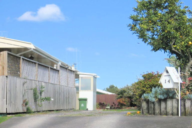 Photo of property in 12 Jefferson Place, Brookfield, Tauranga, 3110