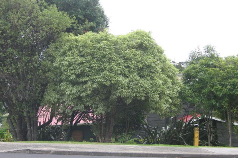 Photo of property in 40 Archers Road, Glenfield, Auckland, 0629