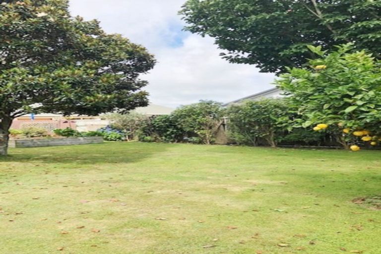 Photo of property in 125 Tiro Tiro Road, Levin, 5510