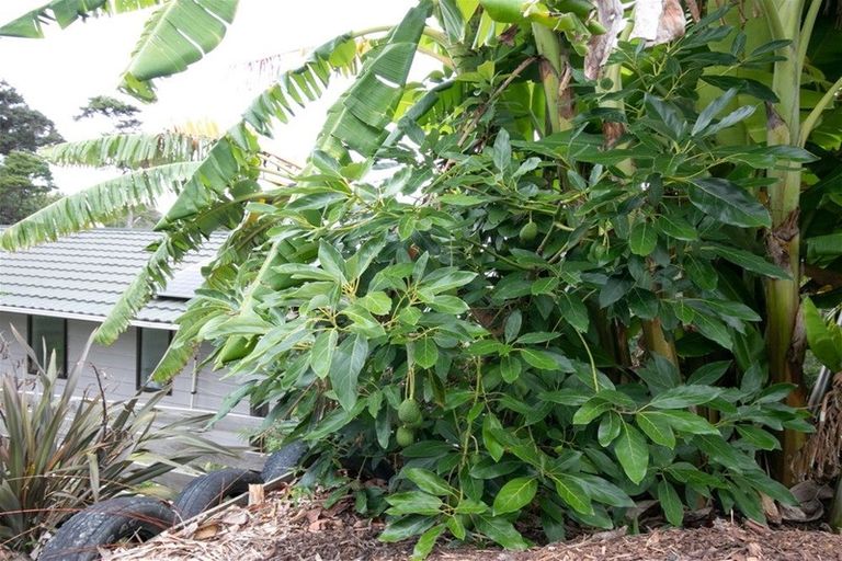 Photo of property in 23 Goffe Drive, Haruru, 0204