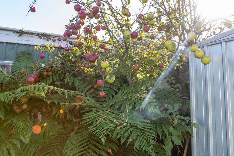 Photo of property in 4/101 Brougham Street, Addington, Christchurch, 8024