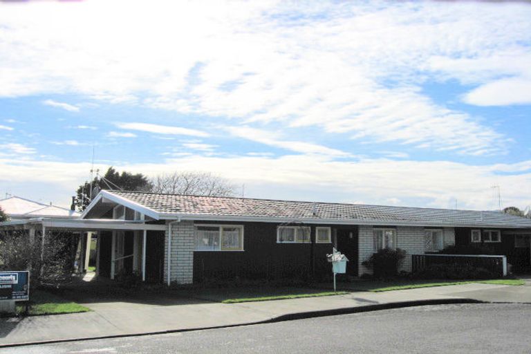 Photo of property in 39 Kent Street, Levin, 5510