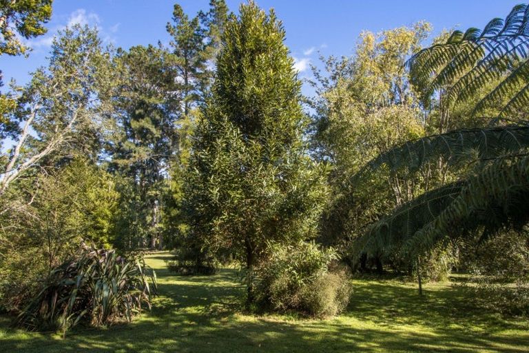 Photo of property in 136c Bradford Street, Waihi, 3610