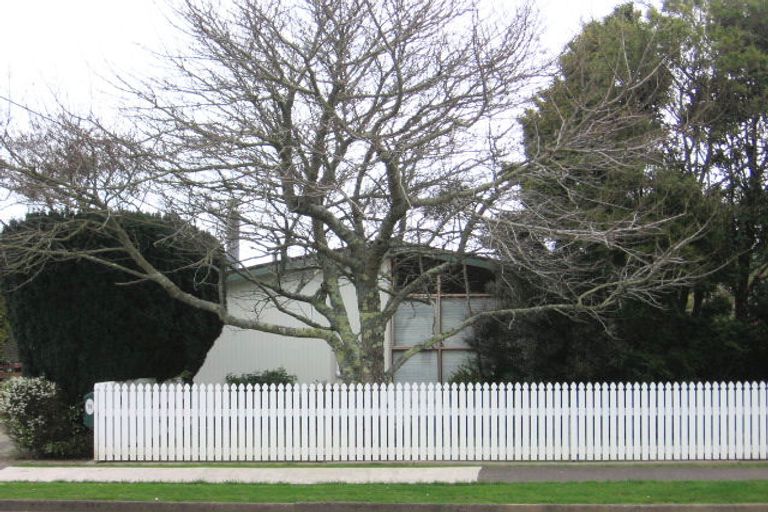 Photo of property in 75 Tiro Tiro Road, Levin, 5510