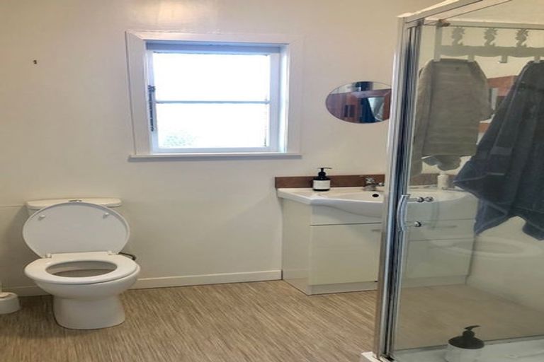 Photo of property in 56 Haultain Street, Fairfield, Hamilton, 3214