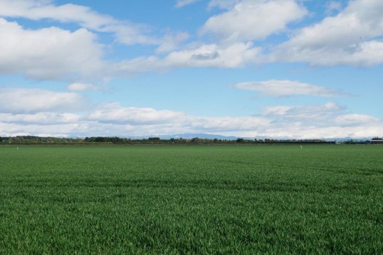 Photo of property in 105 Foley Road, Levels, Timaru, 7975