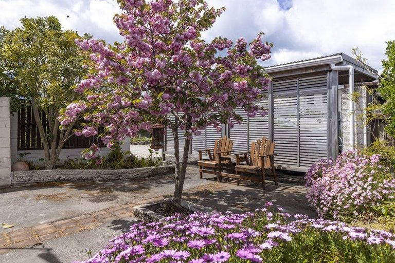 Photo of property in 150 Rarangi Beach Road, Rarangi, Blenheim, 7273