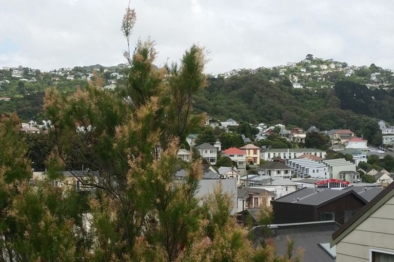Photo of property in 4a Princess Street, Newtown, Wellington, 6021