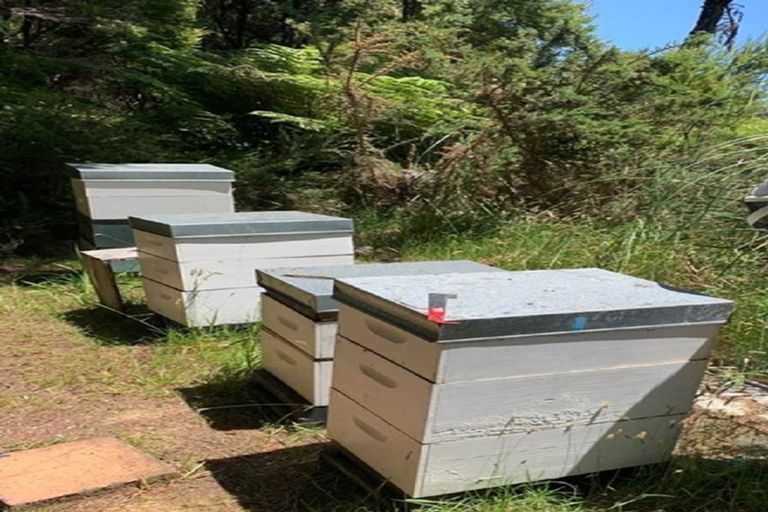 Photo of property in 328e Wainui Road, Kaeo, 0478