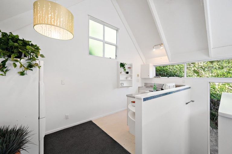 Photo of property in 24b Norway Street, Aro Valley, Wellington, 6012