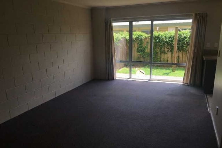 Photo of property in 46e York Street, Hamilton East, Hamilton, 3216