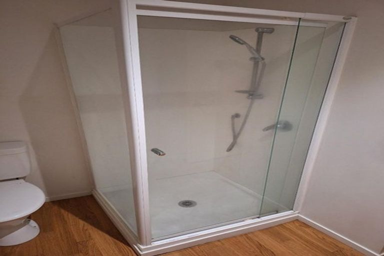 Photo of property in 15f Korimako Street, Frankton, Hamilton, 3204