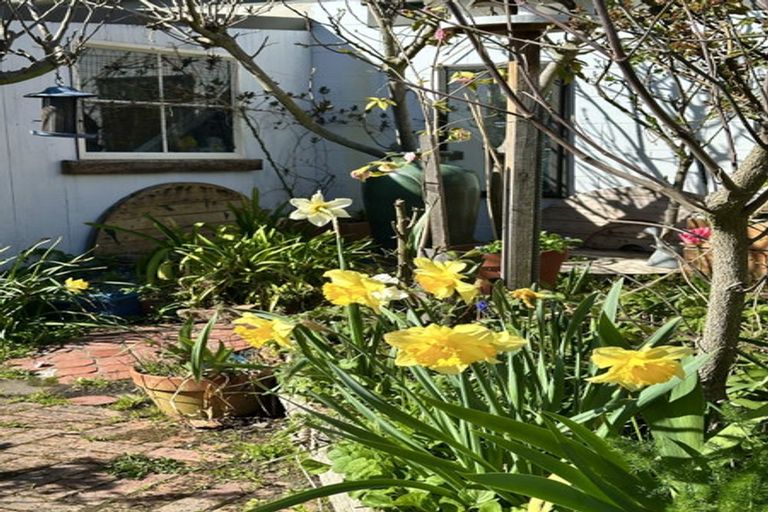 Photo of property in 37 Kinley Street, Rangiora, 7400