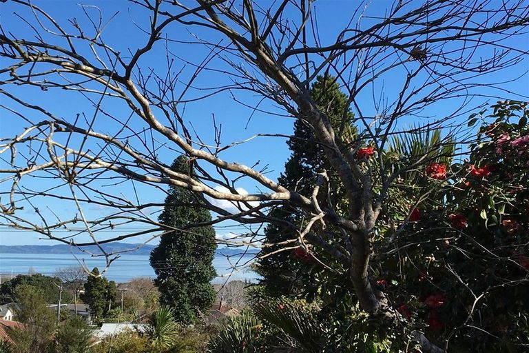 Photo of property in 100a Mill Street, Thames, 3500