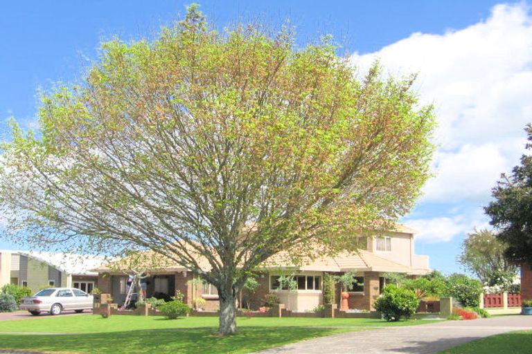 Photo of property in 89 Burwood Road, Matamata, 3400