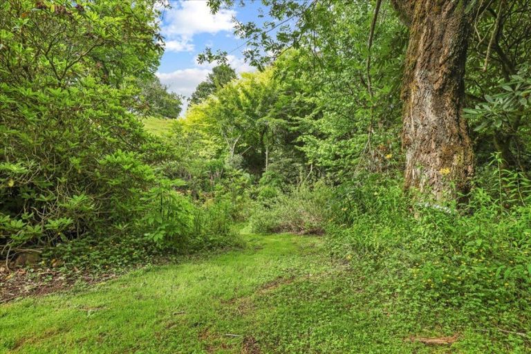 Photo of property in 488 Tapuwae Road, Maniaiti / Benneydale, Te Kuiti, 3987