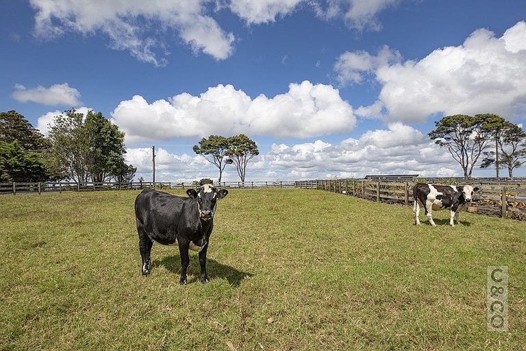 Photo of property in 118 Cottle Road, Taupaki, Henderson, 0782