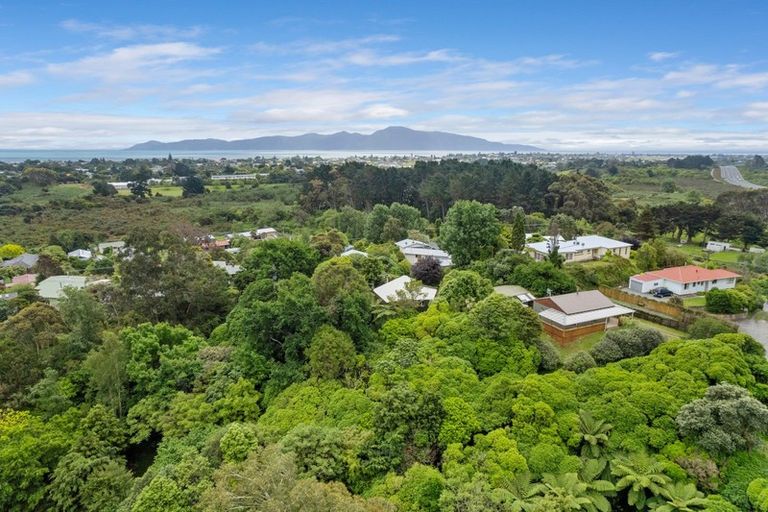 Photo of property in 76 Leinster Avenue, Raumati South, Paraparaumu, 5032