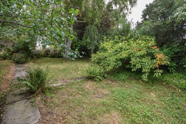 Photo of property in 115 Evans Street, Opoho, Dunedin, 9010