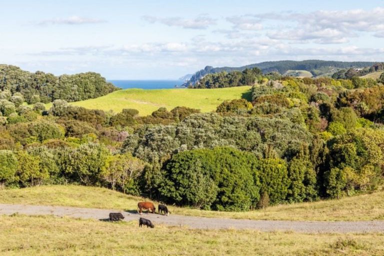 Photo of property in 435 Onemana Drive, Onemana, Whangamata, 3691