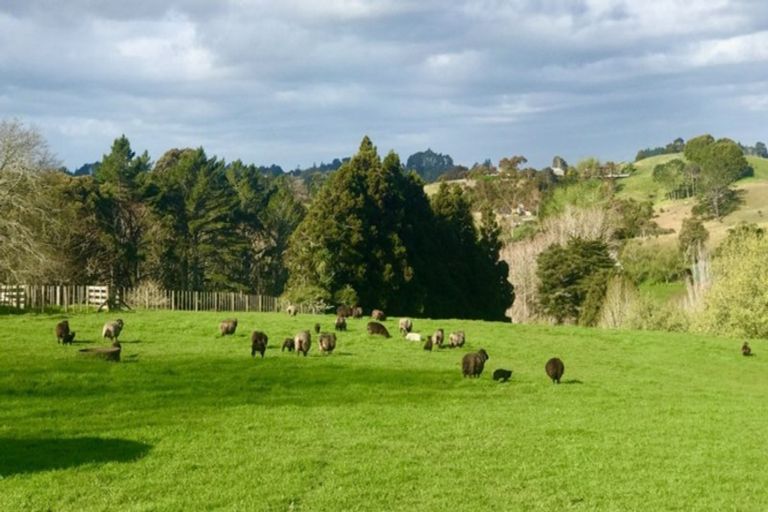 Photo of property in 115 Glenmore Road, Coatesville, Albany, 0793