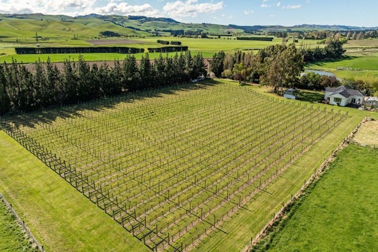 Photo of property in 1114 Omihi Road, Omihi, Amberley, 7483