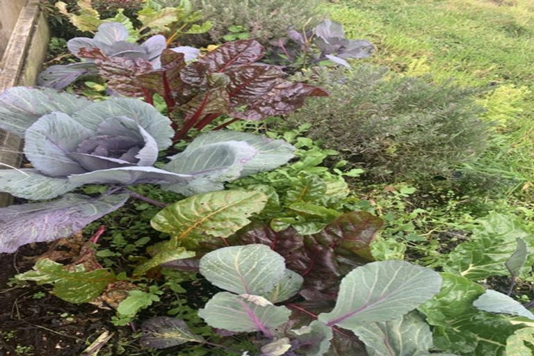 Photo of property in 63 Ranui Terrace, Tawa, Wellington, 5028