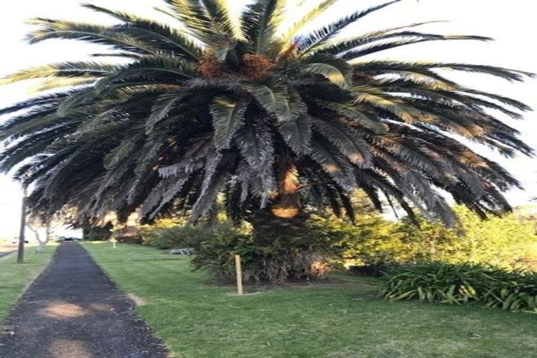 Photo of property in 14 Nevada Drive, Merrilands, New Plymouth, 4312