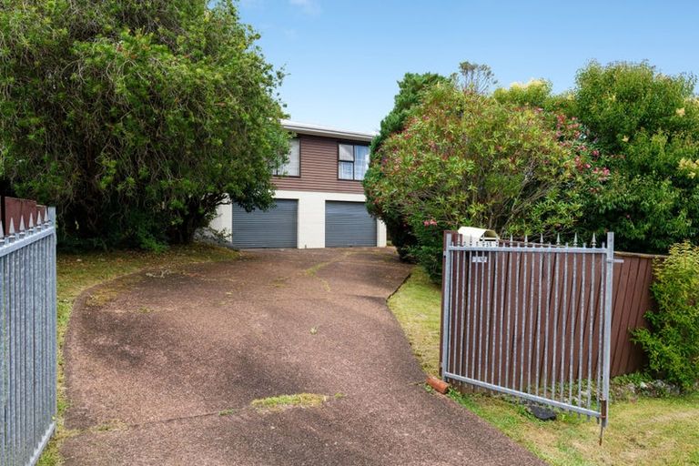 Photo of property in 56 Woodford Avenue, Henderson, Auckland, 0610