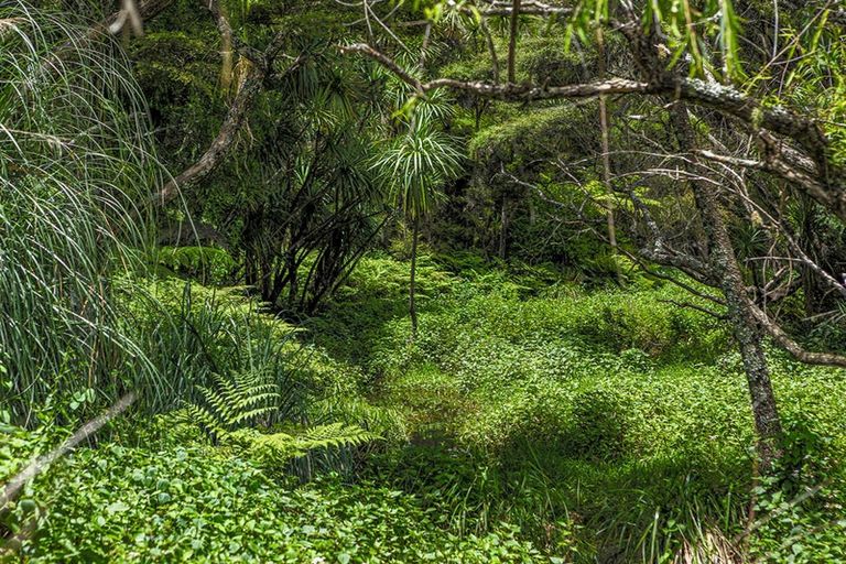 Photo of property in 264 Taylor Road, Taipa, Kaitaia, 0483