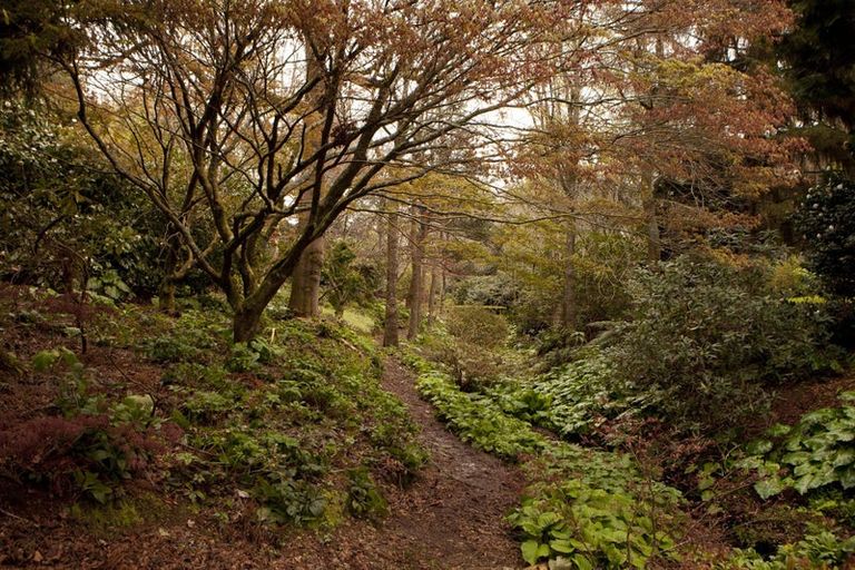 Photo of property in 38 Grammar Street, Kimbolton, 4777