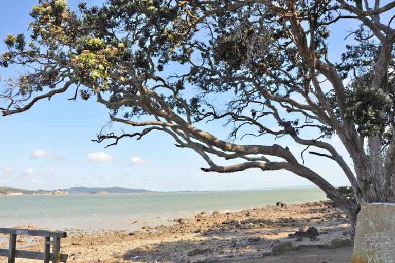 Photo of property in 12 Goebel Street, Tinopai, 0593