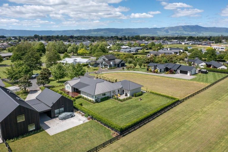 Photo of property in 9 Danehill Close, Matamata, 3400