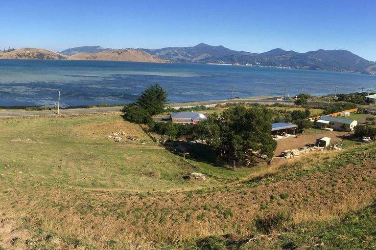 Photo of property in 290 Harington Point Road, Lower Portobello, Dunedin, 9077