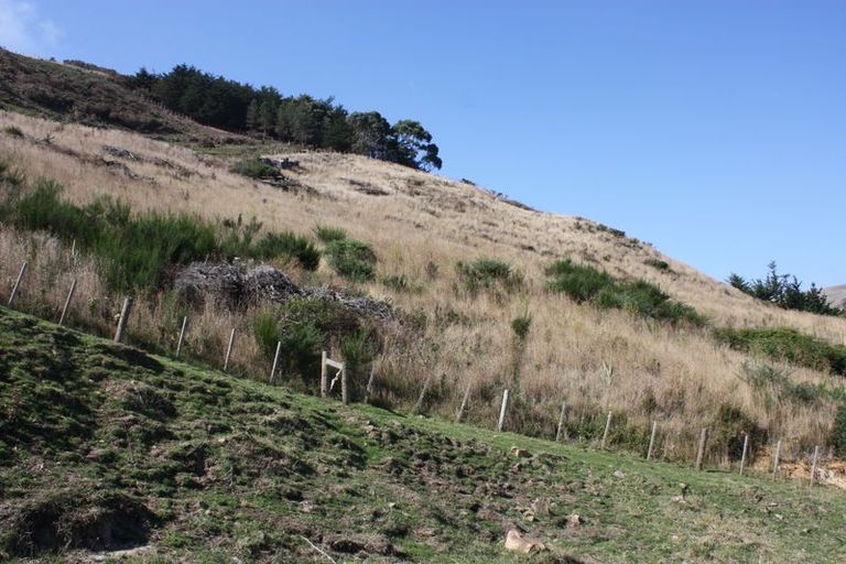 Photo of property in 290 Harington Point Road, Lower Portobello, Dunedin, 9077