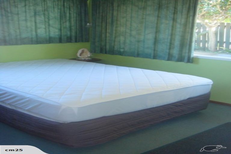 Photo of property in 47 Harvey Street, Tauranga South, Tauranga, 3112